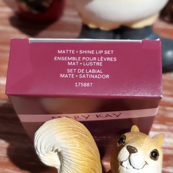 Cinnamon Matte + Shine Lip Set - Limited Edition Mary Kay - Picture 11 of 11